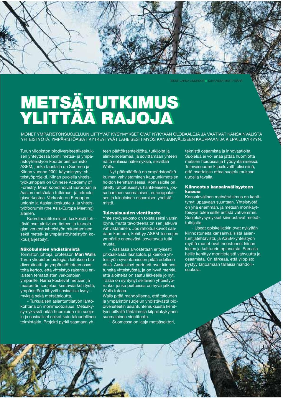 Turun yliopiston biodiversiteettikeskuksen yhteydessä toimii metsä- ja ympäristöyhteistyön koordinointitoimisto ASEM, jonka taustalla on Suomen ja Kiinan vuonna 2001 käynnistynyt yhteistyöprojekti.