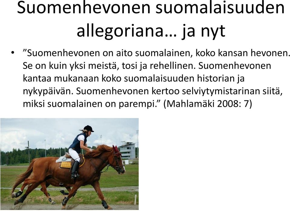Suomenhevonen kantaa mukanaan koko suomalaisuuden historian ja nykypäivän.