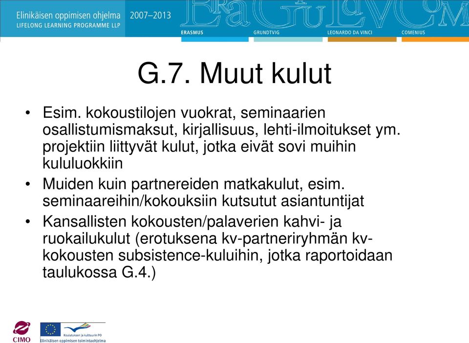 projektiin liittyvät kulut, jotka eivät sovi muihin kululuokkiin Muiden kuin partnereiden matkakulut, esim.