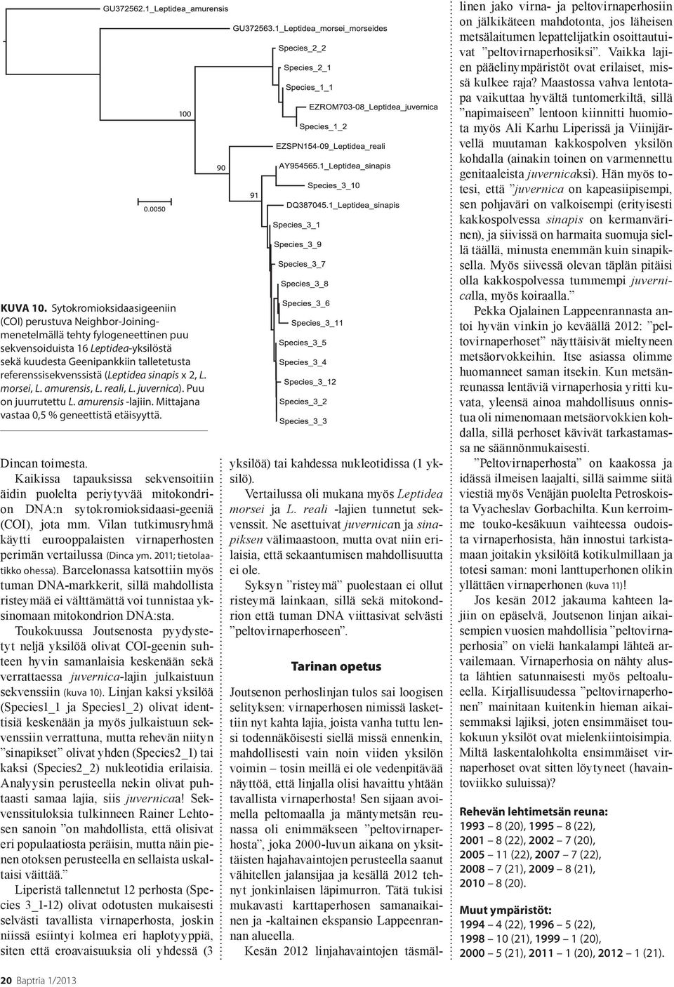 (Leptidea sinapis x 2, L. morsei, L. amurensis, L. reali, L. juvernica). Puu on juurrutettu L. amurensis -lajiin. Mittajana vastaa 0,5 % geneettistä etäisyyttä. Dincan toimesta.