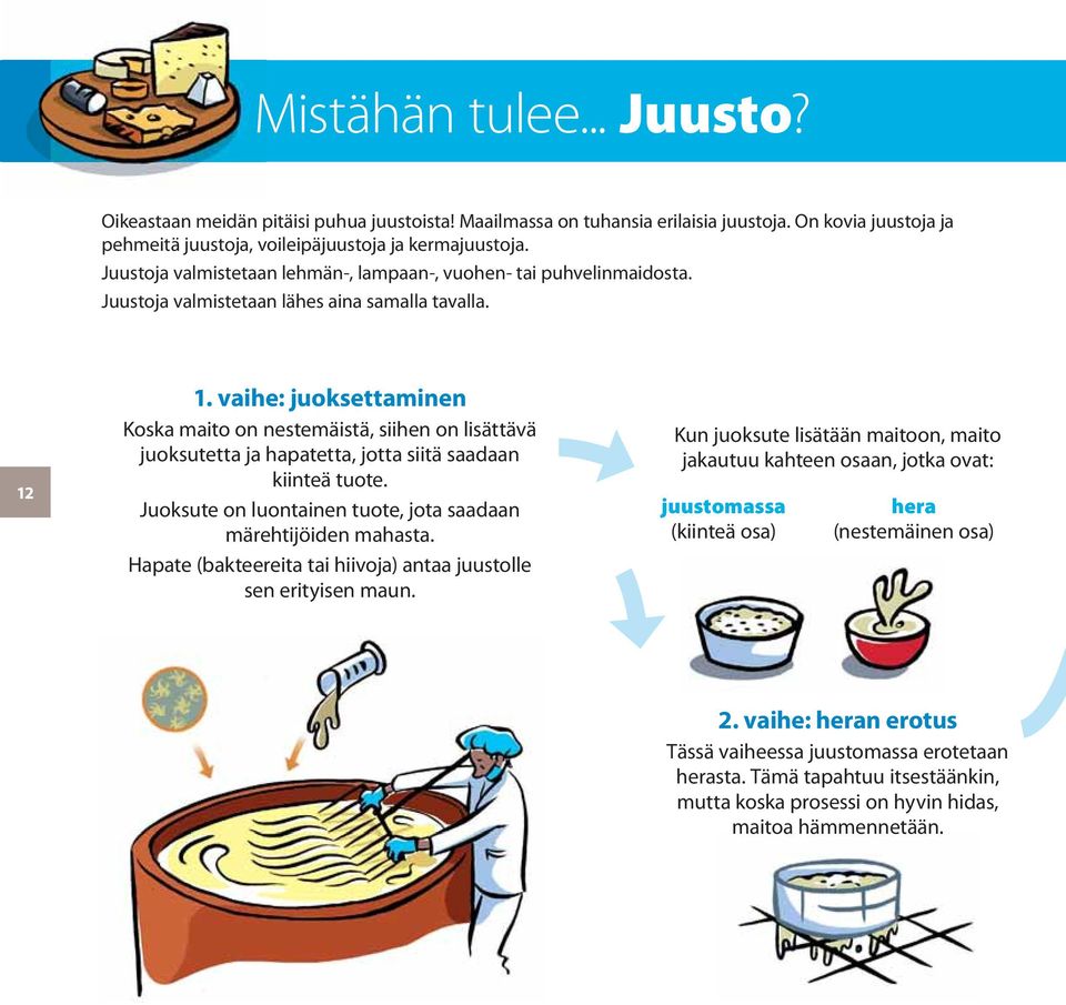 vaihe: juoksettaminen Koska maito on nestemäistä, siihen on lisättävä juoksutetta ja hapatetta, jotta siitä saadaan kiinteä tuote. Juoksute on luontainen tuote, jota saadaan märehtijöiden mahasta.