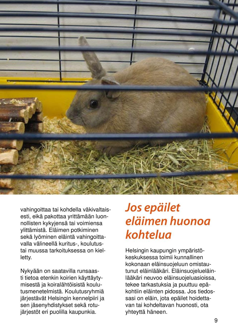 Nykyään on saatavilla runsaasti tietoa etenkin koirien käyttäytymisestä ja koiralähtöisistä koulutusmenetelmistä.