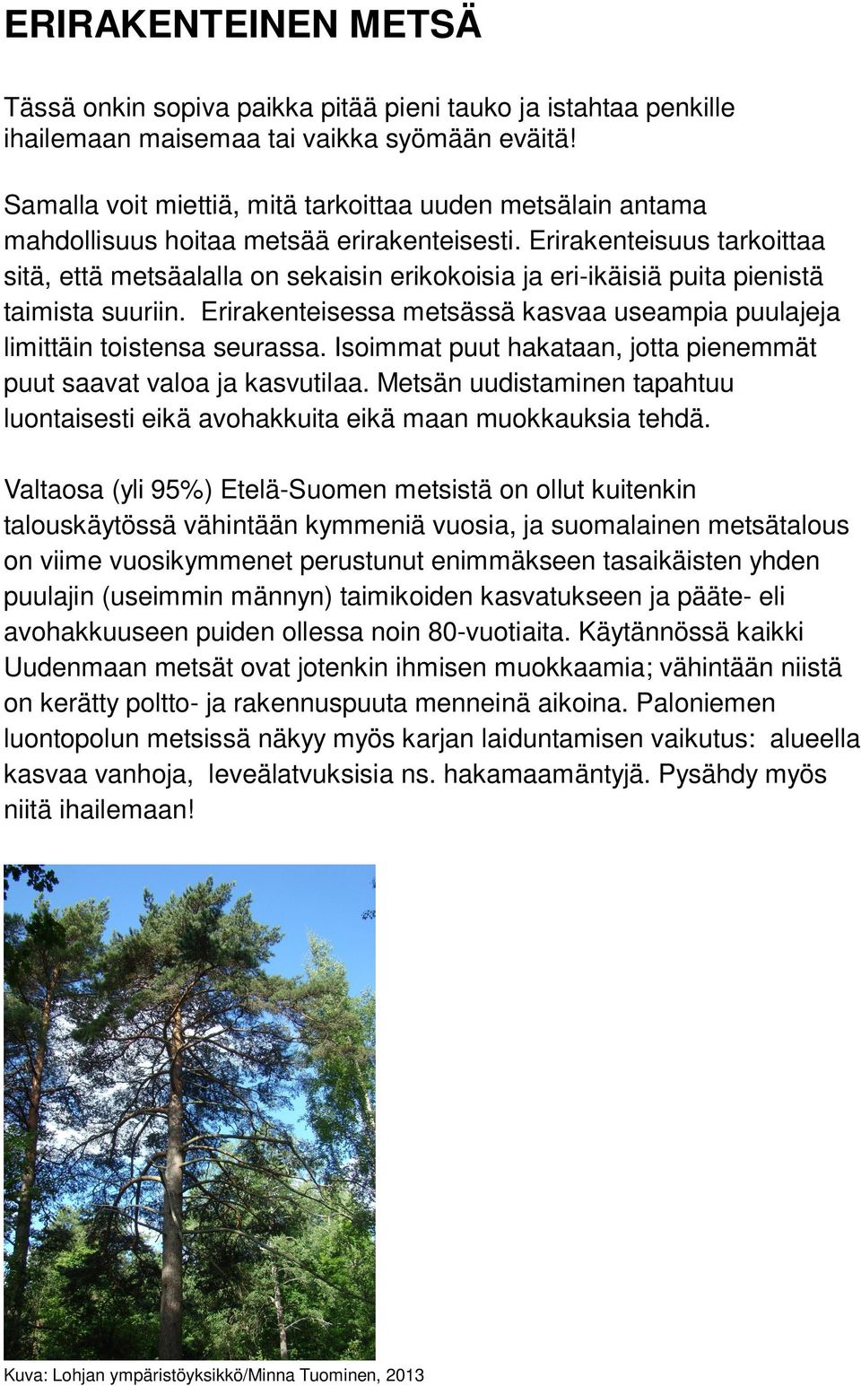 Erirakenteisuus tarkoittaa sitä, että metsäalalla on sekaisin erikokoisia ja eri-ikäisiä puita pienistä taimista suuriin.