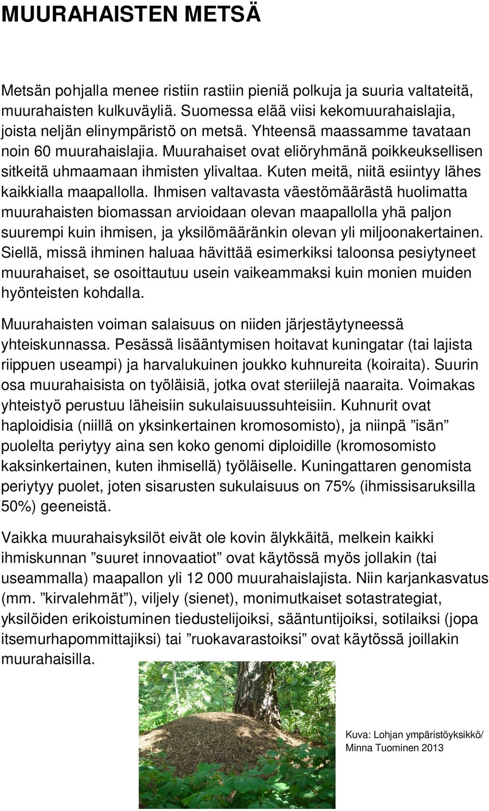 Ihmisen valtavasta väestömäärästä huolimatta muurahaisten biomassan arvioidaan olevan maapallolla yhä paljon suurempi kuin ihmisen, ja yksilömääränkin olevan yli miljoonakertainen.