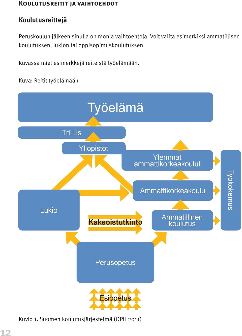 Kuvassa näet esimerkkejä reiteistä työelämään. Kuva: Reitit työelämään Työelämä Tri.