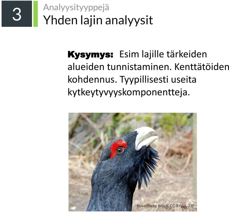 Kenttätöiden kohdennus.