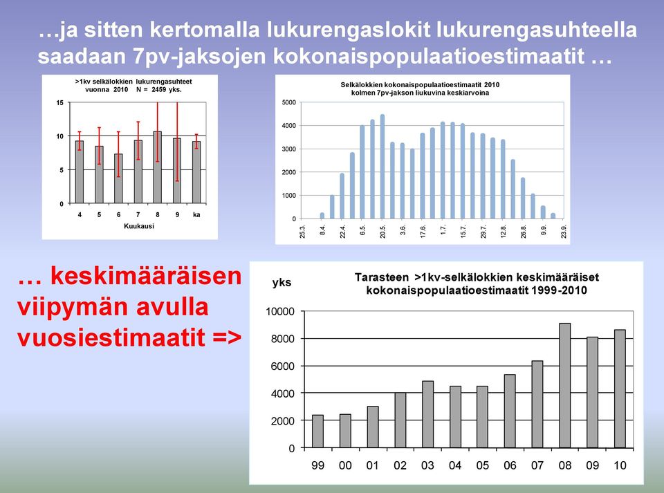 9. 23.9. ja sitten kertomalla lukurengaslokit lukurengasuhteella saadaan 7pv-jaksojen kokonaispopulaatioestimaatit 15 >1kv selkälokkien