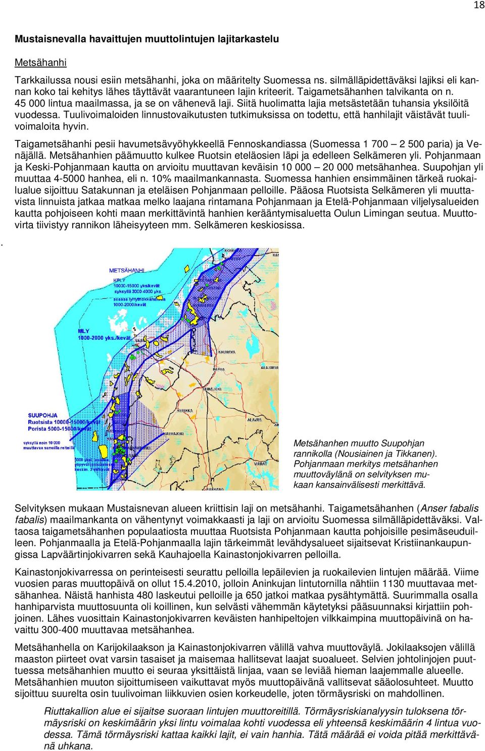 Siitä huolimatta lajia metsästetään tuhansia yksilöitä vuodessa. Tuulivoimaloiden linnustovaikutusten tutkimuksissa on todettu, että hanhilajit väistävät tuulivoimaloita hyvin.