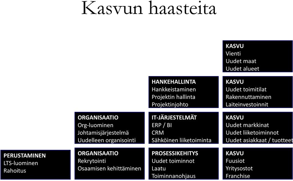 / BI CRM Sähköinen liiketoiminta KASVU Uudet markkinat Uudet liiketoiminnot Uudet asiakkaat / tuotteet PERUSTAMINEN LTS-luominen