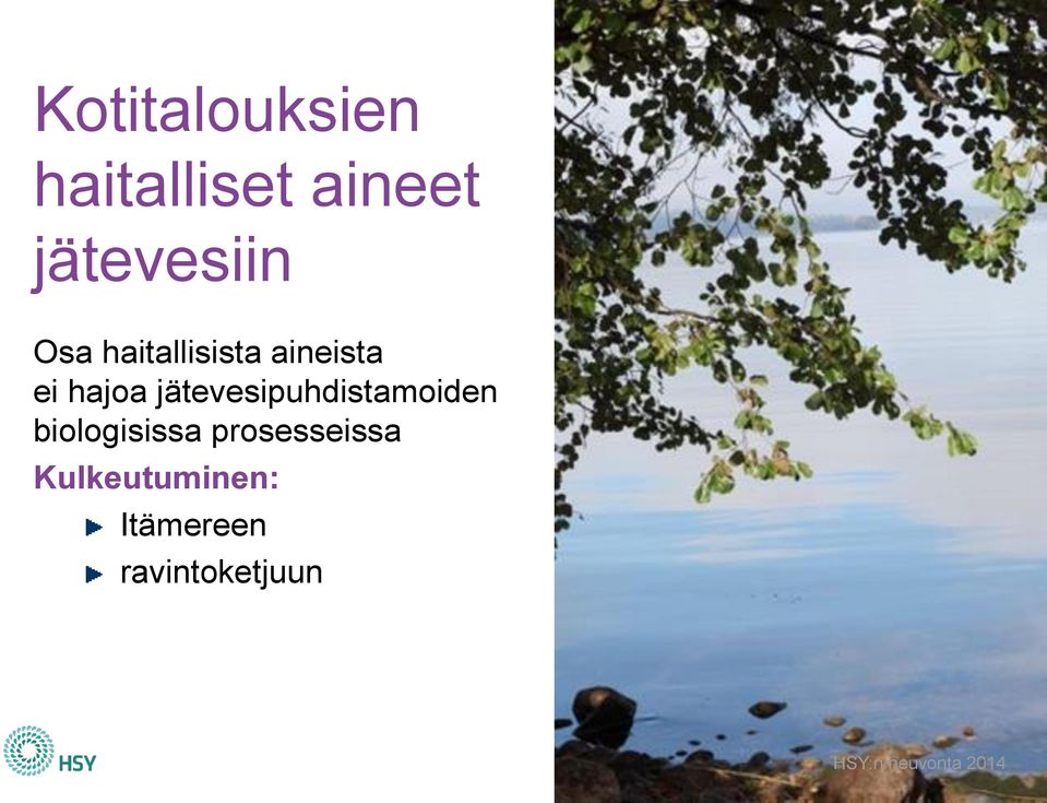 hajoa jätevesipuhdistamoiden biologisissa