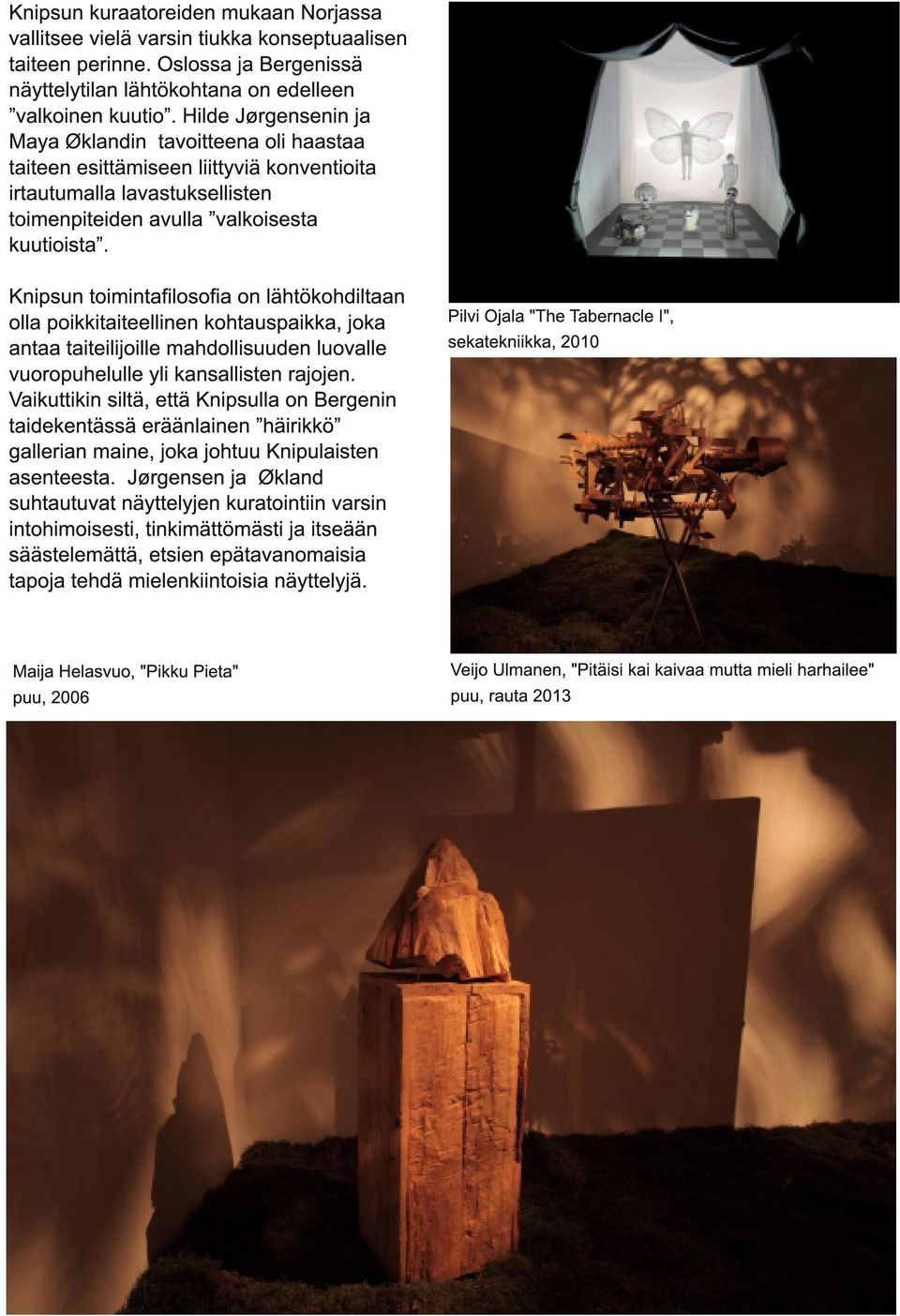 Knipsun toimintafilosofia on lähtökohdiltaan olla poikkitaiteellinen kohtauspaikka, joka antaa taiteilijoille mahdollisuuden luovalle vuoropuhelulle yli kansallisten rajojen.