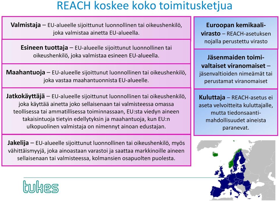 Maahantuoja EU-alueelle sijoittunut luonnollinen tai oikeushenkilö, joka vastaa maahantuonnista EU-alueelle.