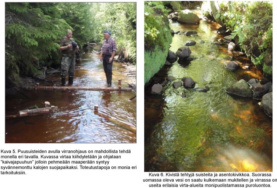 suojapaikaksi. Toteutustapoja on monia eri tarkoituksiin. Kuva 6. Kivistä tehtyjä suisteita ja asentokivikkoa.