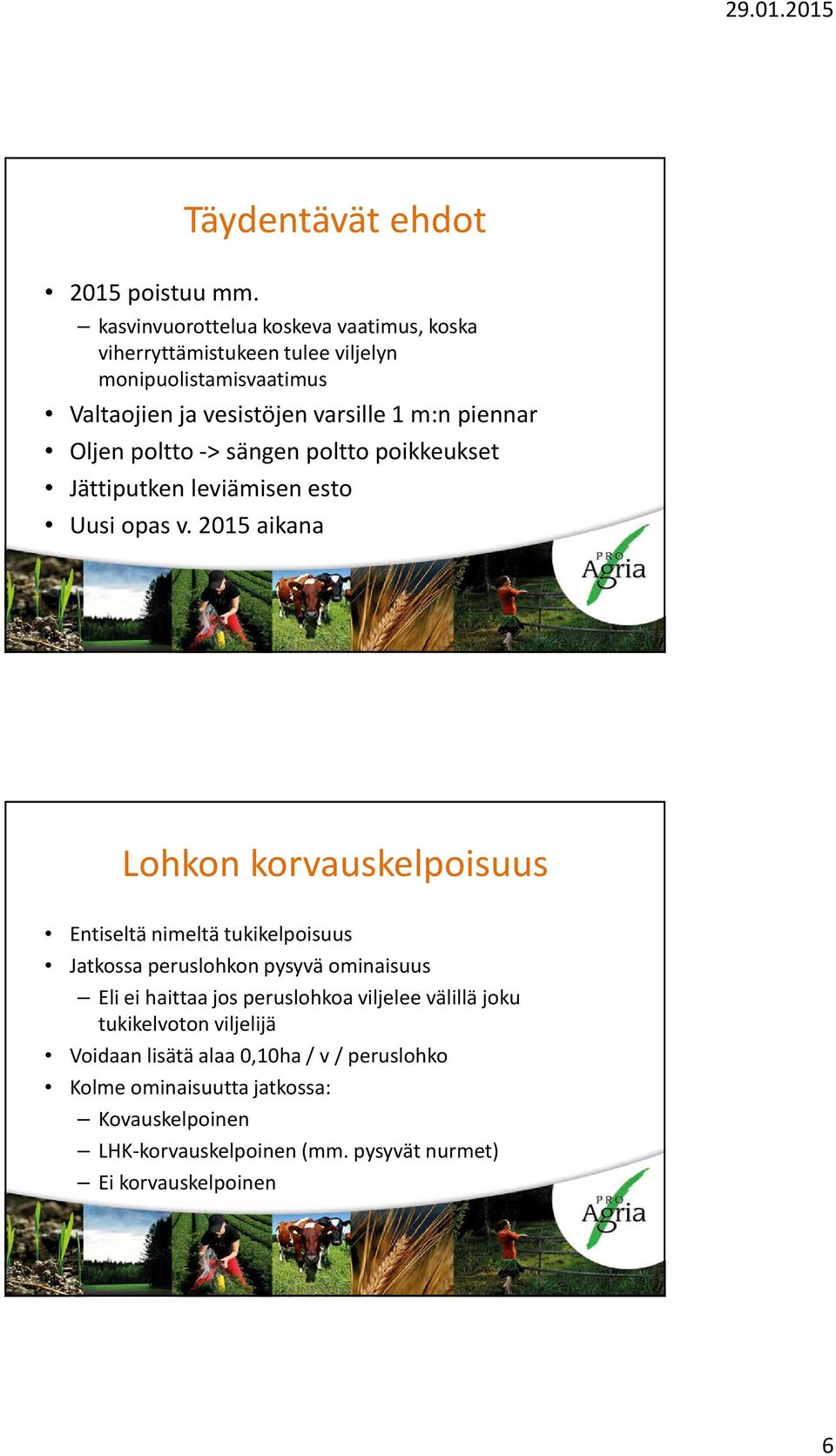 Oljen poltto -> sängen poltto poikkeukset Jättiputken leviämisen esto Uusi opas v.