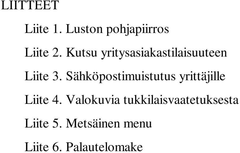 Sähköpostimuistutus yrittäjille Liite 4.