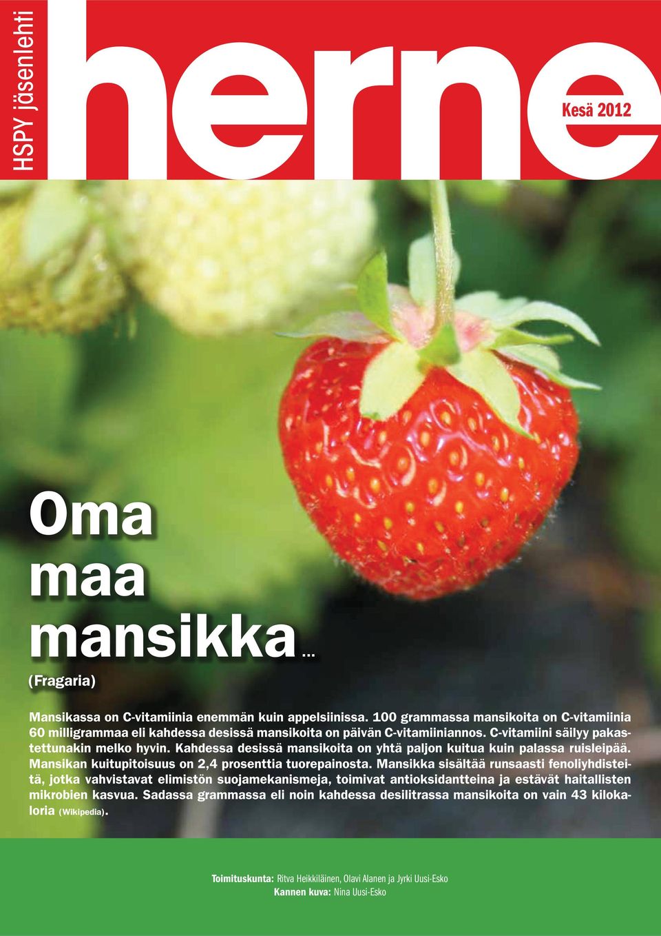 Kahdessa desissä mansikoita on yhtä paljon kuitua kuin palassa ruisleipää. Mansikan kuitupitoisuus on 2,4 prosenttia tuorepainosta.