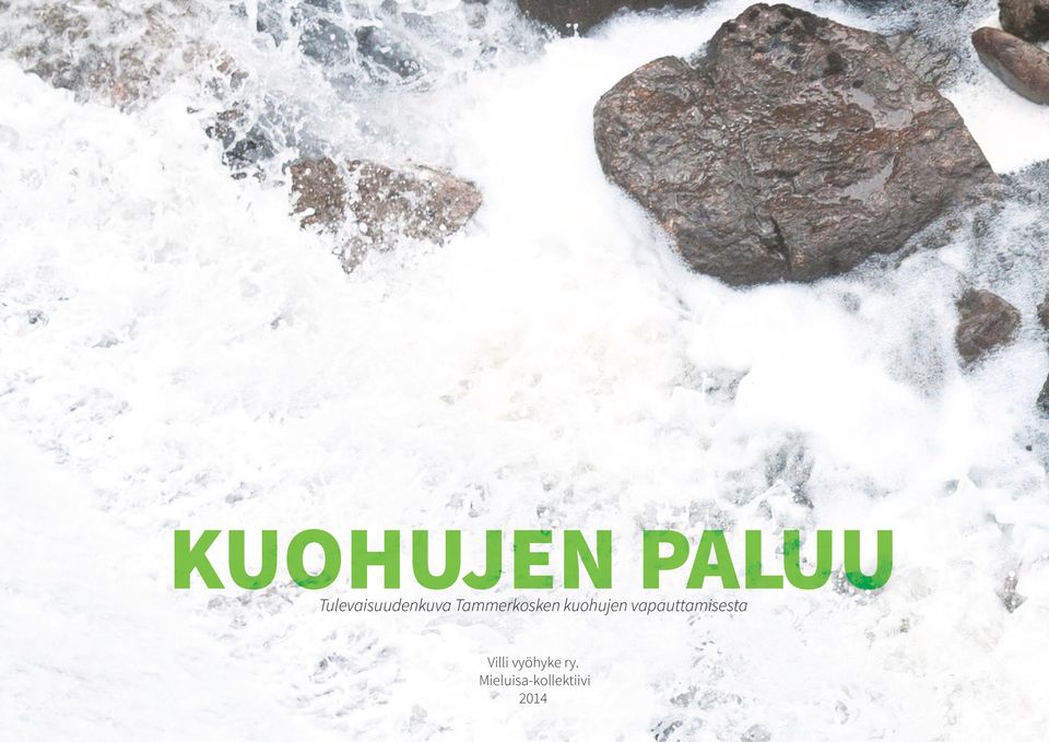 Tulevaisuudenkuva  Villi vyöhyke ry.