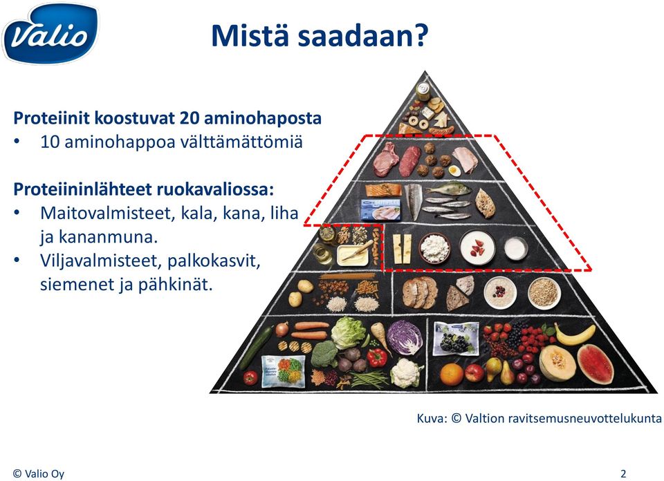 välttämättömiä Proteiininlähteet ruokavaliossa: