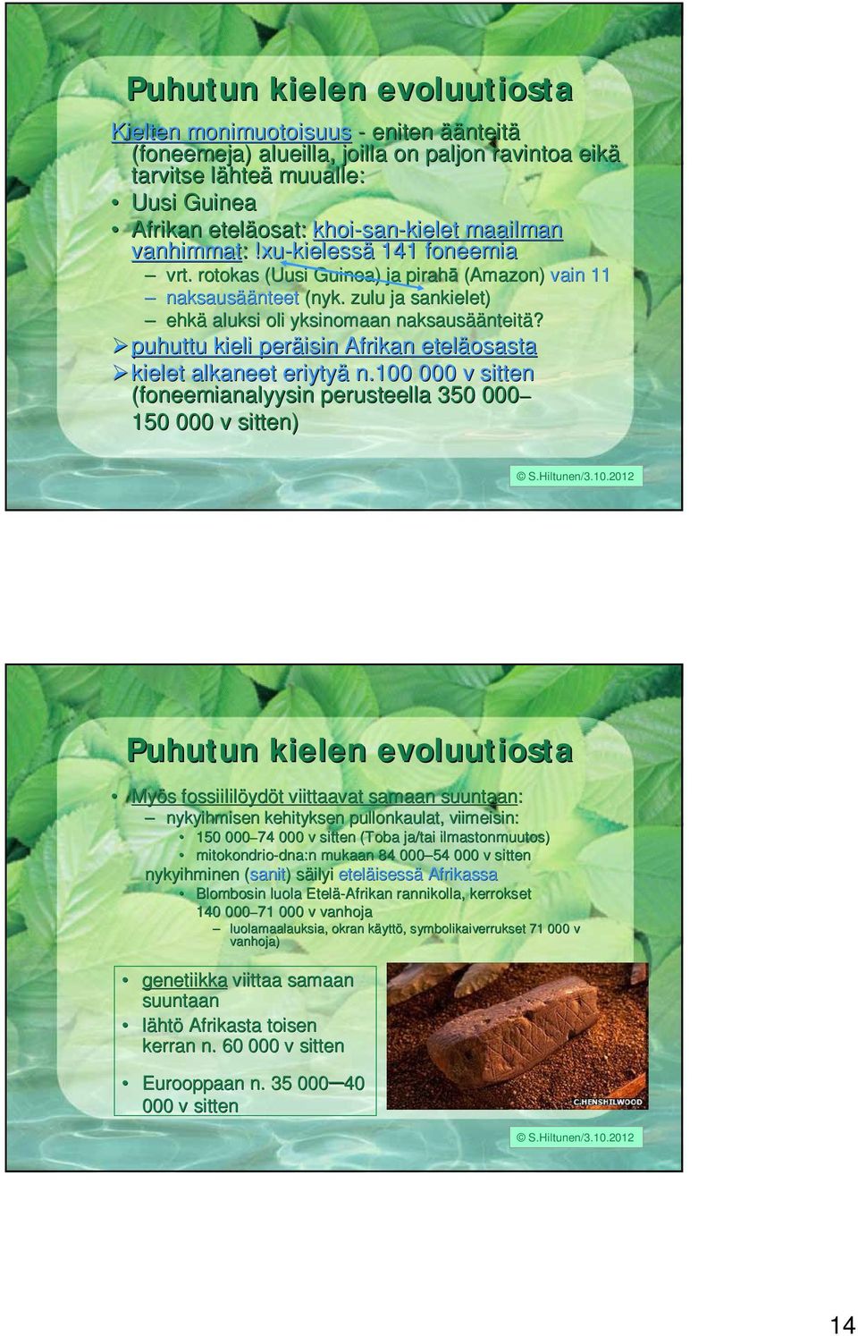 zulu ja sankielet) ehkä aluksi oli yksinomaan naksausää äänteitä? puhuttu kieli peräisin Afrikan eteläosasta kielet alkaneet eriytyä n.