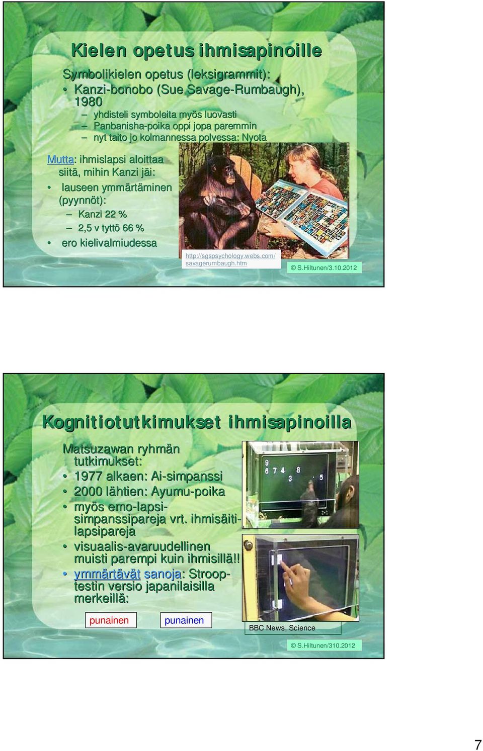com/ savagerumbaugh.htm Kognitiotutkimukset ihmisapinoilla Matsuzawan ryhmän tutkimukset: 1977 alkaen: Ai-simpanssi 2000 lähtien: l Ayumu-poika myös s emo-lapsi lapsi- simpanssipareja vrt.