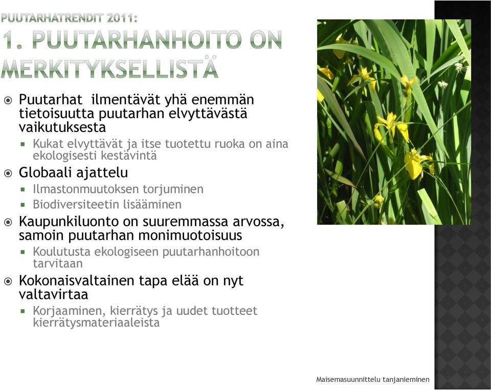 lisääminen Kaupunkiluonto on suuremmassa arvossa, samoin puutarhan monimuotoisuus Koulutusta ekologiseen