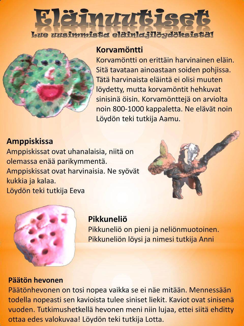 Tätä harvinaista eläintä ei olisi muuten löydetty, mutta korvamöntit hehkuvat sinisinä öisin. Korvamönttejä on arviolta noin 800-1000 kappaletta. Ne elävät noin Löydön teki tutkija Aamu.