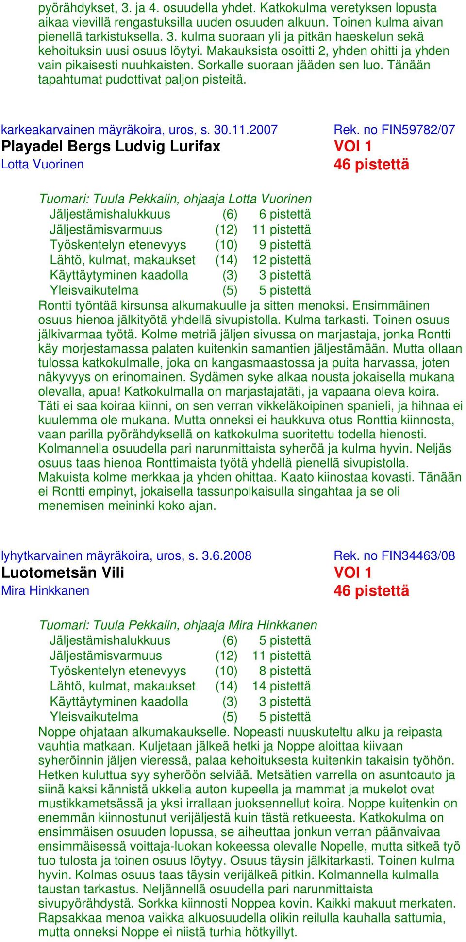 2007 Rek. no FIN59782/07 Playadel Bergs Ludvig Lurifax VOI 1 Lotta Vuorinen 46 pistettä Tuomari: Tuula Pekkalin, ohjaaja Lotta Vuorinen Rontti työntää kirsunsa alkumakuulle ja sitten menoksi.