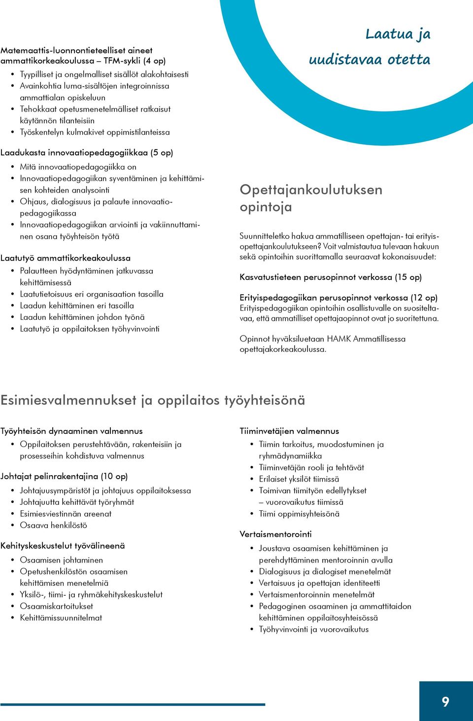 Innovaatiopedagogiikan syventäminen ja kehittämisen kohteiden analysointi Ohjaus, dialogisuus ja palaute innovaatiopedagogiikassa Innovaatiopedagogiikan arviointi ja vakiinnuttaminen osana