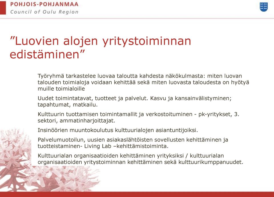 Kulttuurin tuottamisen toimintamallit ja verkostoituminen - pk-yritykset, 3. sektori, ammatinharjoittajat. Insinöörien muuntokoulutus kulttuurialojen asiantuntijoiksi.