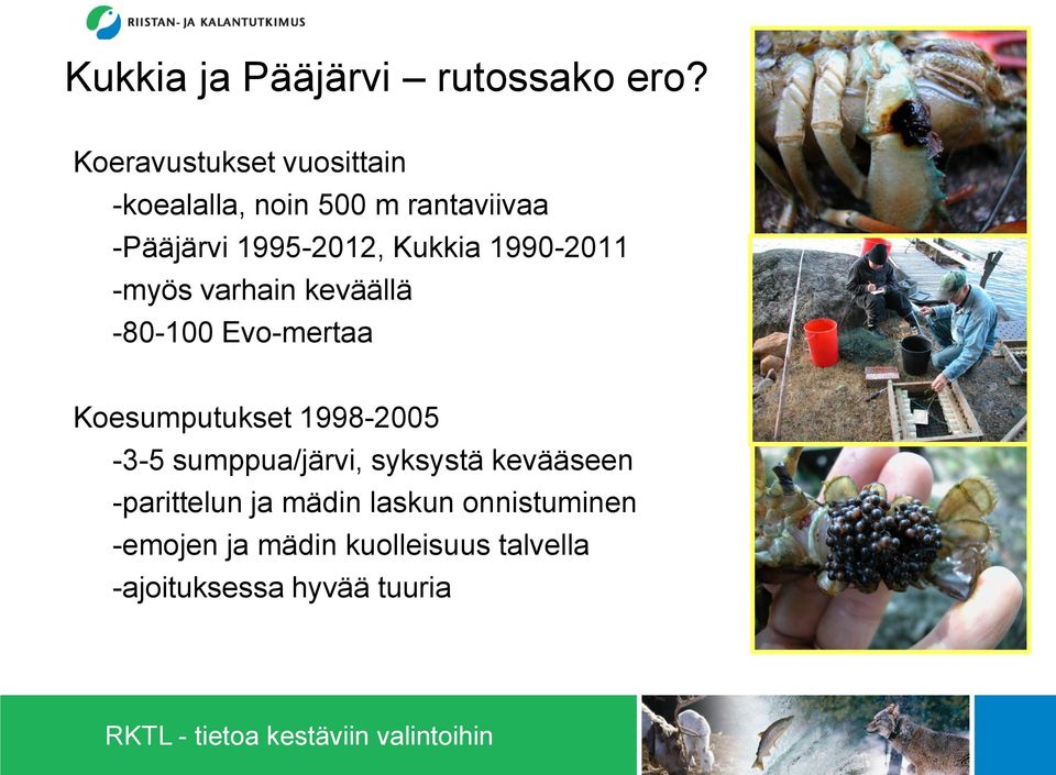 Kukkia 199-211 -myös varhain keväällä -8-1 Evo-mertaa Koesumputukset 1998-25 -3-5