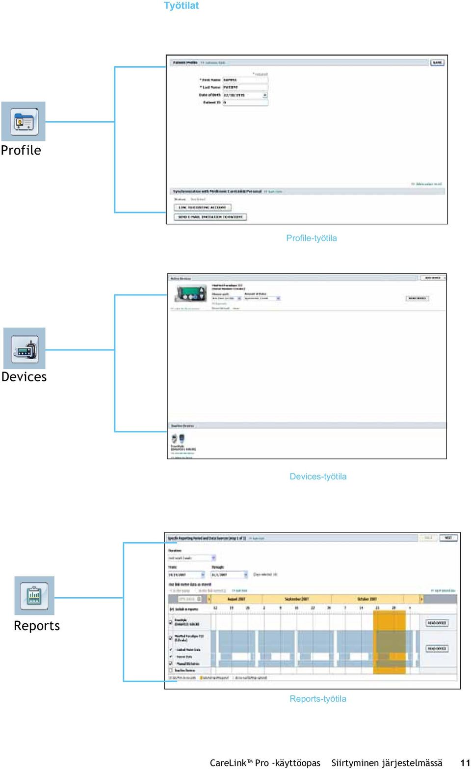 Reports-työtila CareLink Pro