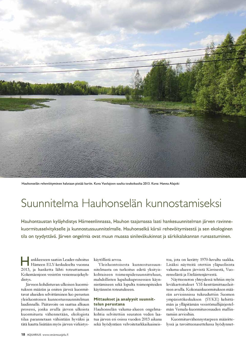 kunnostussuunnitelmalle. Hauhonselkä kärsii rehevöitymisestä ja sen ekologinen tila on tyydyttävä. Järven ongelmia ovat muun muassa sinileväkukinnat ja särkikalakannan runsastuminen.