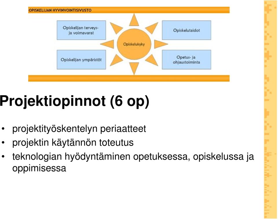 projektin käytännön toteutus