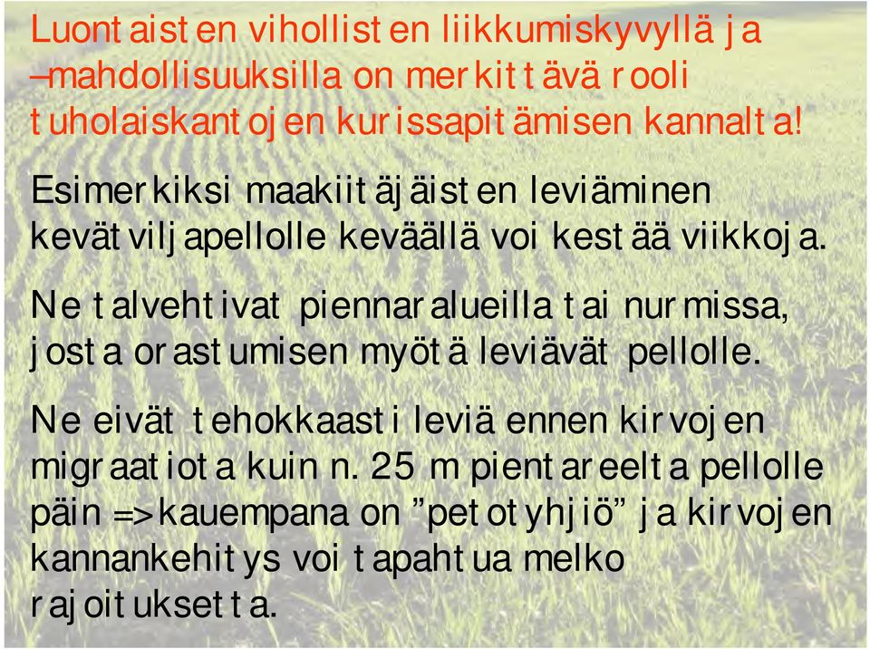 Ne talvehtivat piennaralueilla tai nurmissa, josta orastumisen myötä leviävät pellolle.