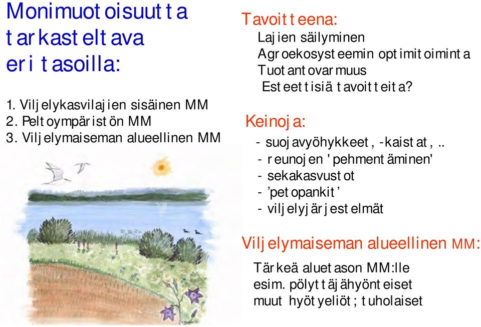 Esteettisiä tavoitteita? Keinoja: - suojavyöhykkeet, -kaistat,.