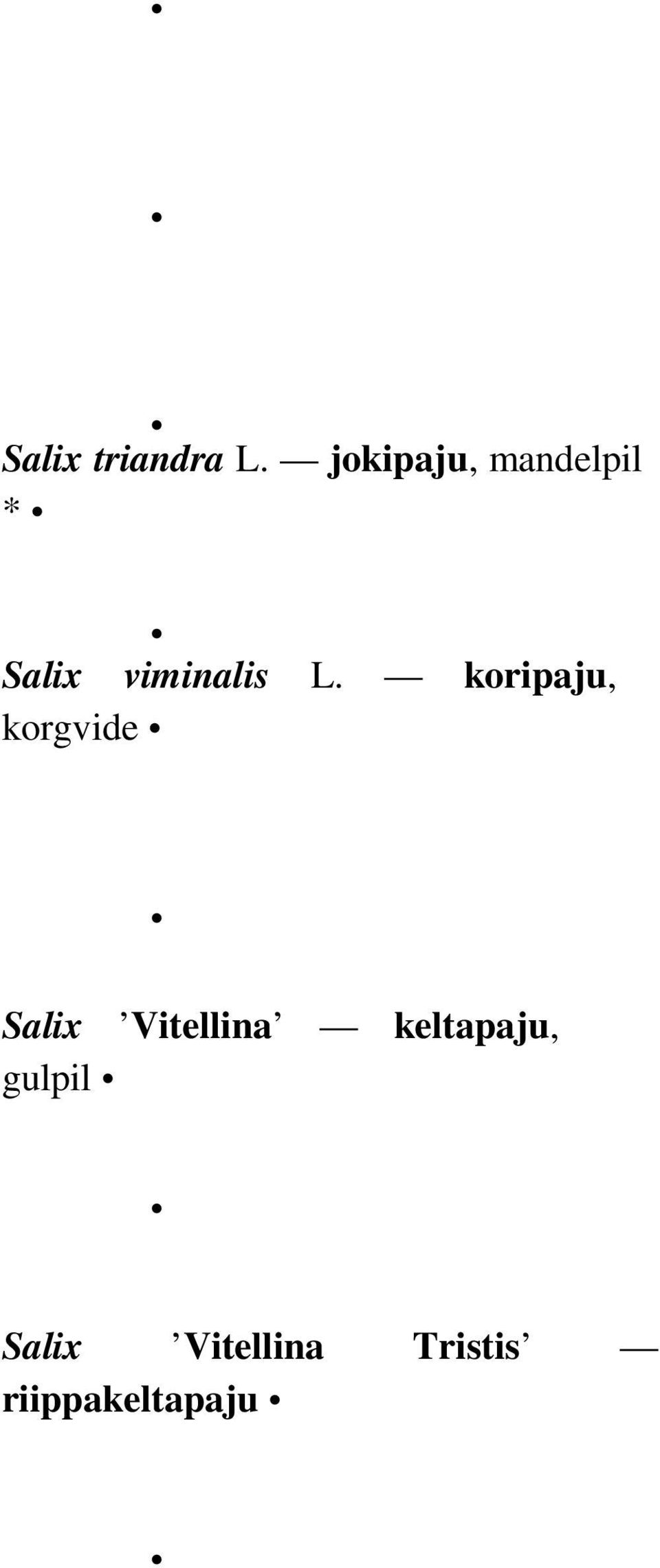 L. koripaju, korgvide Salix Vitellina