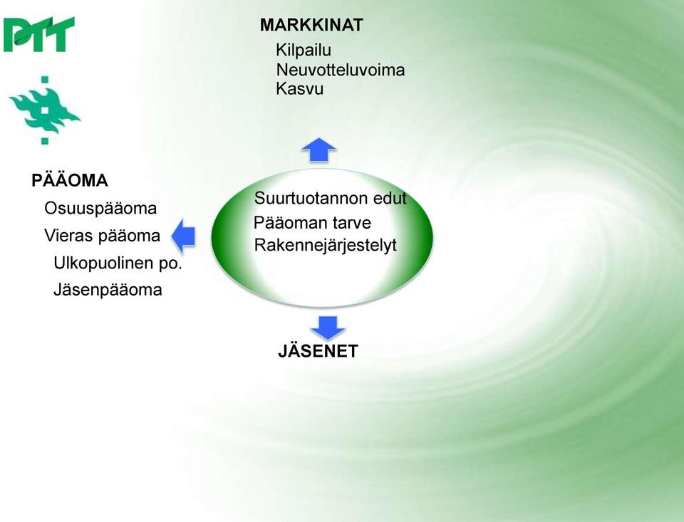 Ulkopuolinen po.