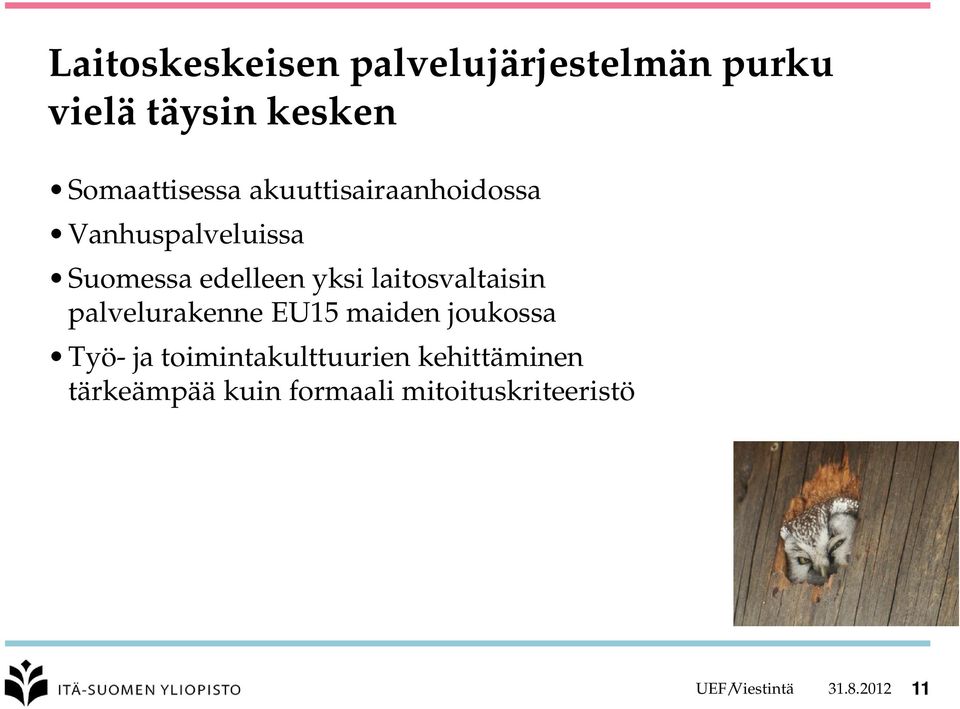 laitosvaltaisin palvelurakenne EU15 maiden joukossa Työ- ja