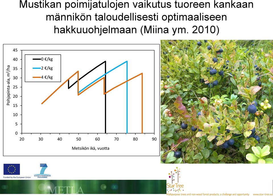 hakkuuohjelmaan (Miina ym.