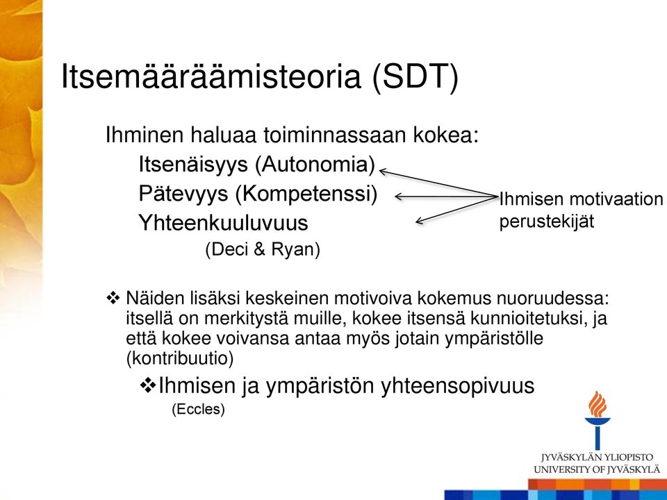 keskeinen motivoiva kokemus nuoruudessa: itsellä on merkitystä muille, kokee itsensä kunnioitetuksi,