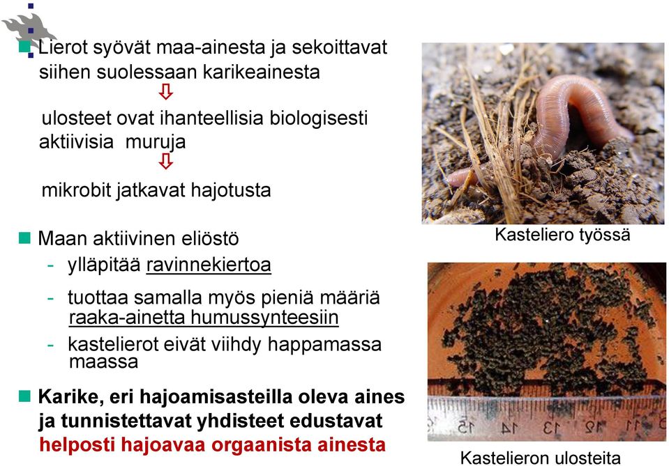 pieniä määriä raaka-ainetta humussynteesiin - kastelierot eivät viihdy happamassa maassa Karike, eri hajoamisasteilla