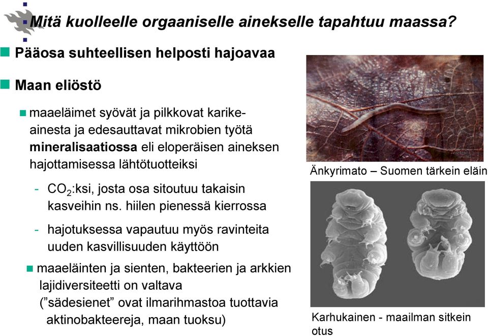 eloperäisen aineksen hajottamisessa lähtötuotteiksi - CO 2 :ksi, josta osa sitoutuu takaisin kasveihin ns.