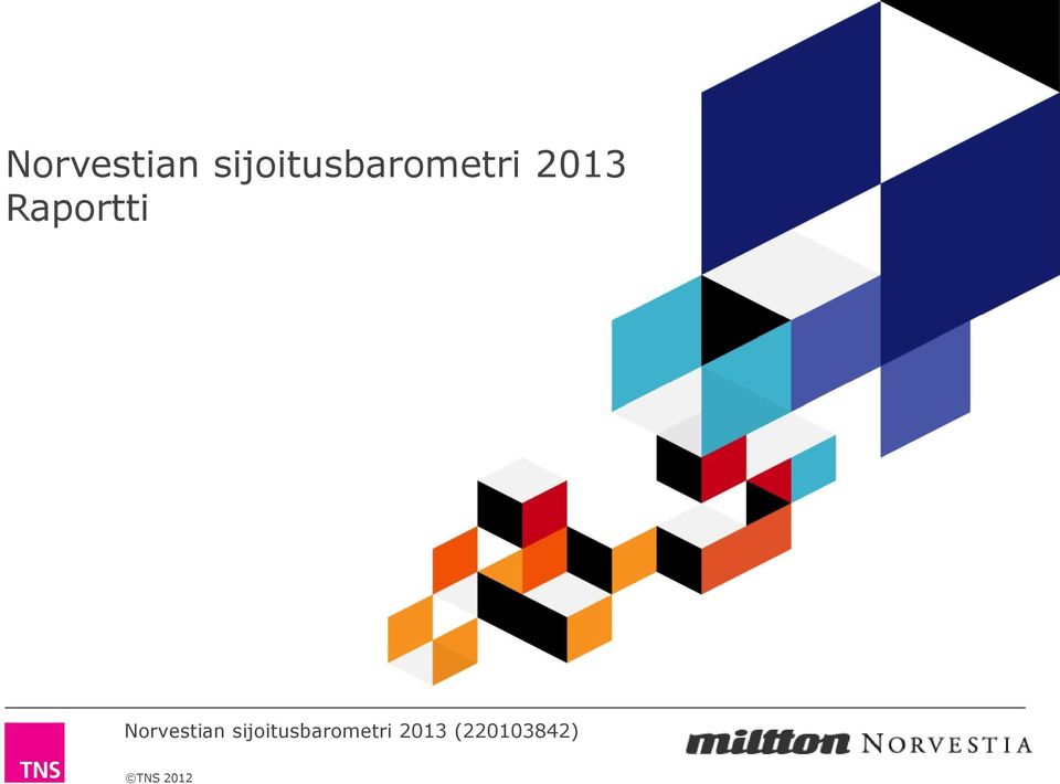 2013 Raportti   2013