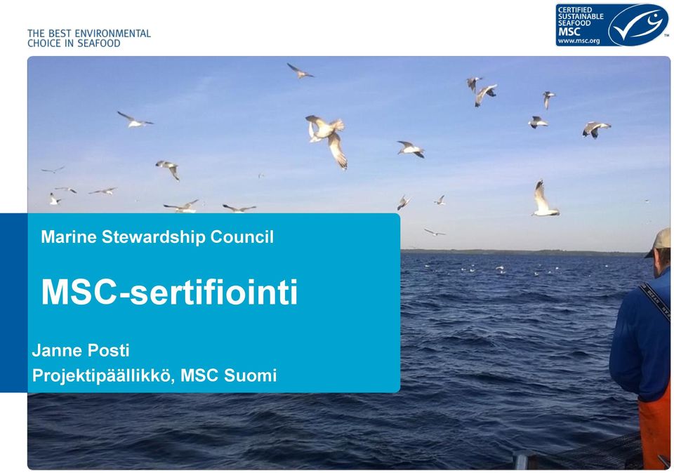 MSC-sertifiointi