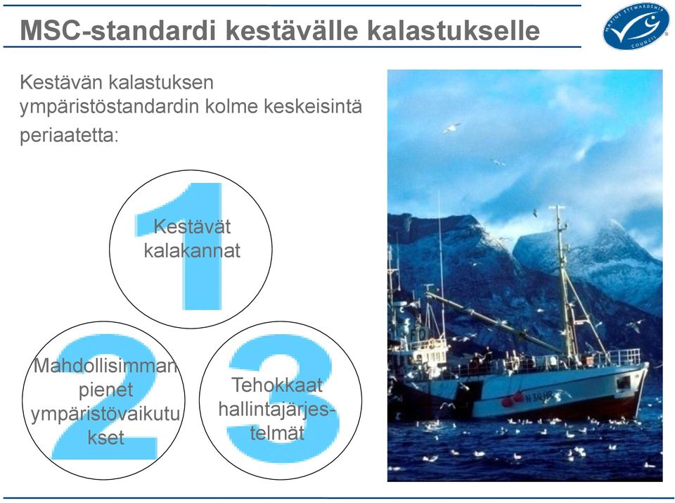 periaatetta: Kestävät kalakannat Mahdollisimman