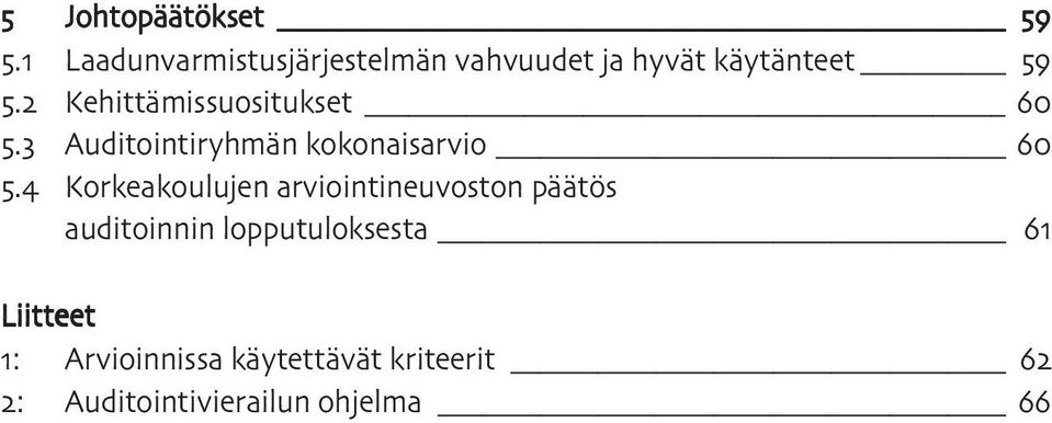 Kehittämissuositukset. Auditointiryhmän kokonaisarvio.