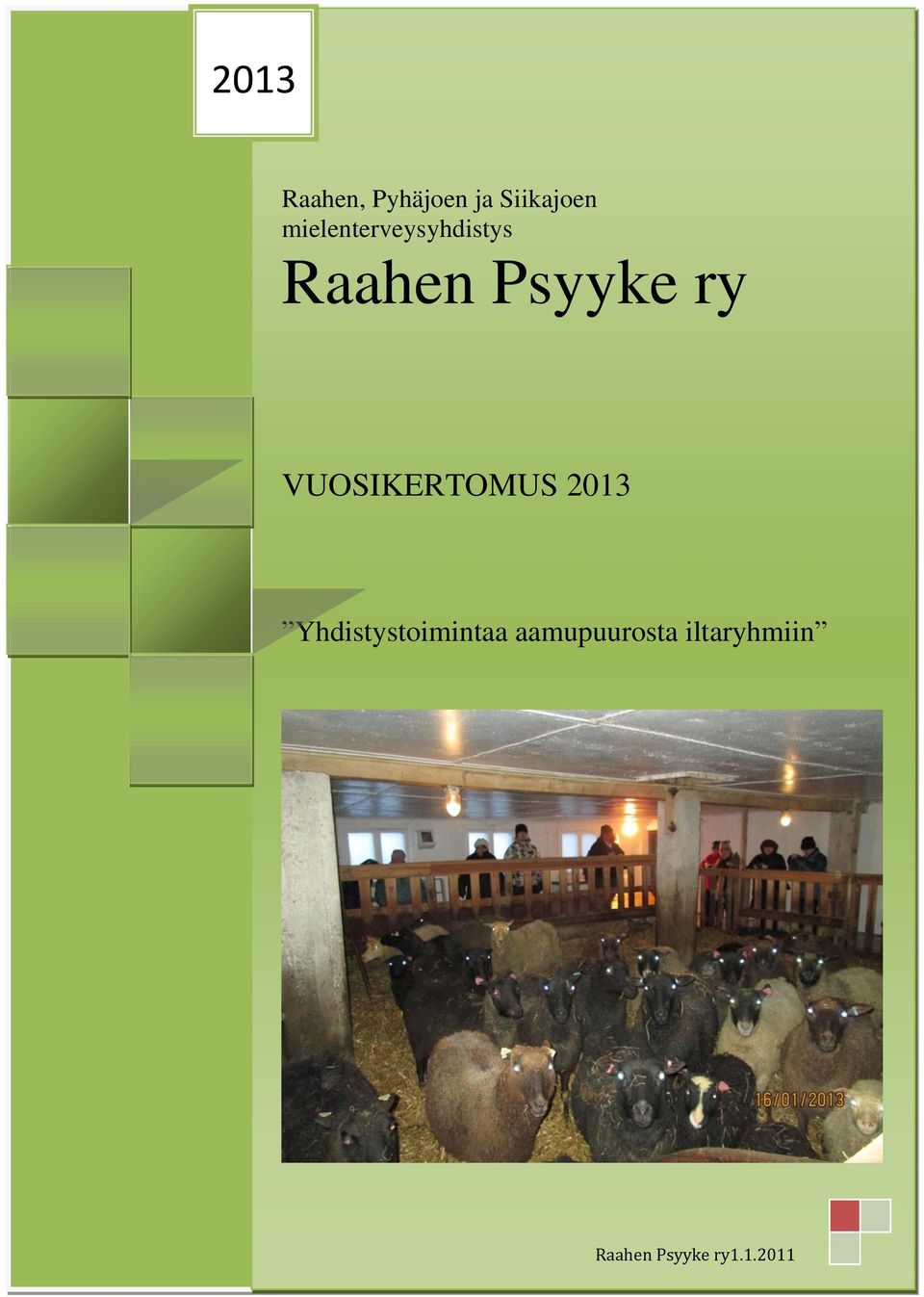 VUOSIKERTOMUS 2013 Yhdistystoimintaa