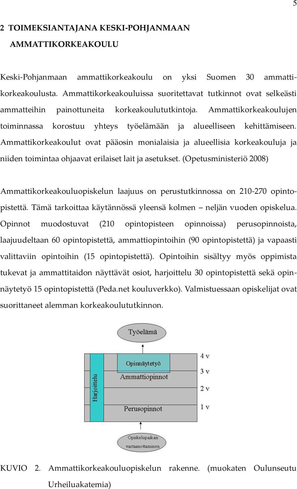 Ammattikorkeakoulujen toiminnassa korostuu yhteys työelämään ja alueelliseen kehittämiseen.