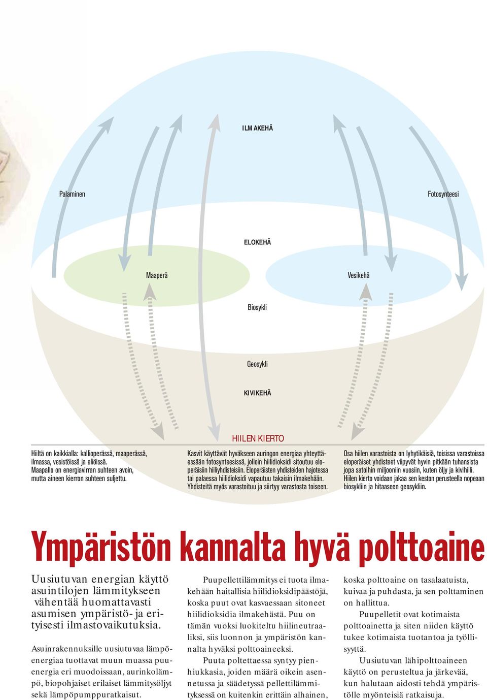 HIILEN KIERTO Kasvit käyttävät hyväkseen auringon energiaa yhteyttäessään fotosynteesissä, jolloin hiilidioksidi sitoutuu eloperäisiin hiiliyhdisteisiin.