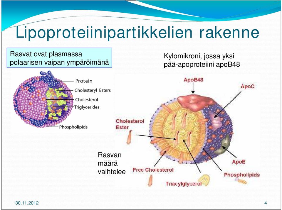 ympäröimänä Kylomikroni, jossa yksi